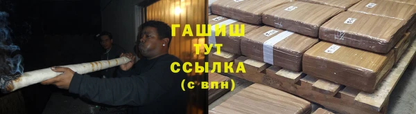 гидра Новодвинск
