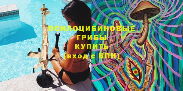 прущая мука Богородицк